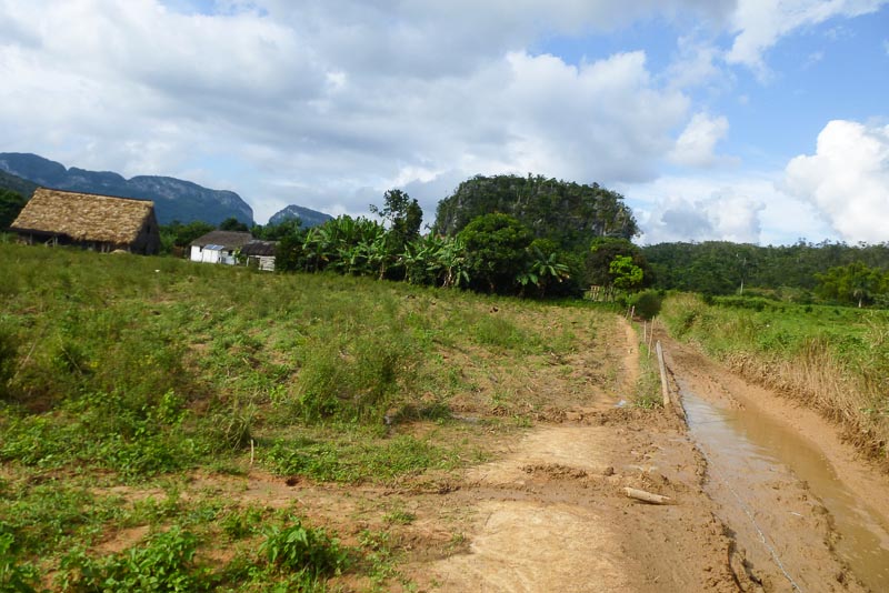 Vinales paardrijden